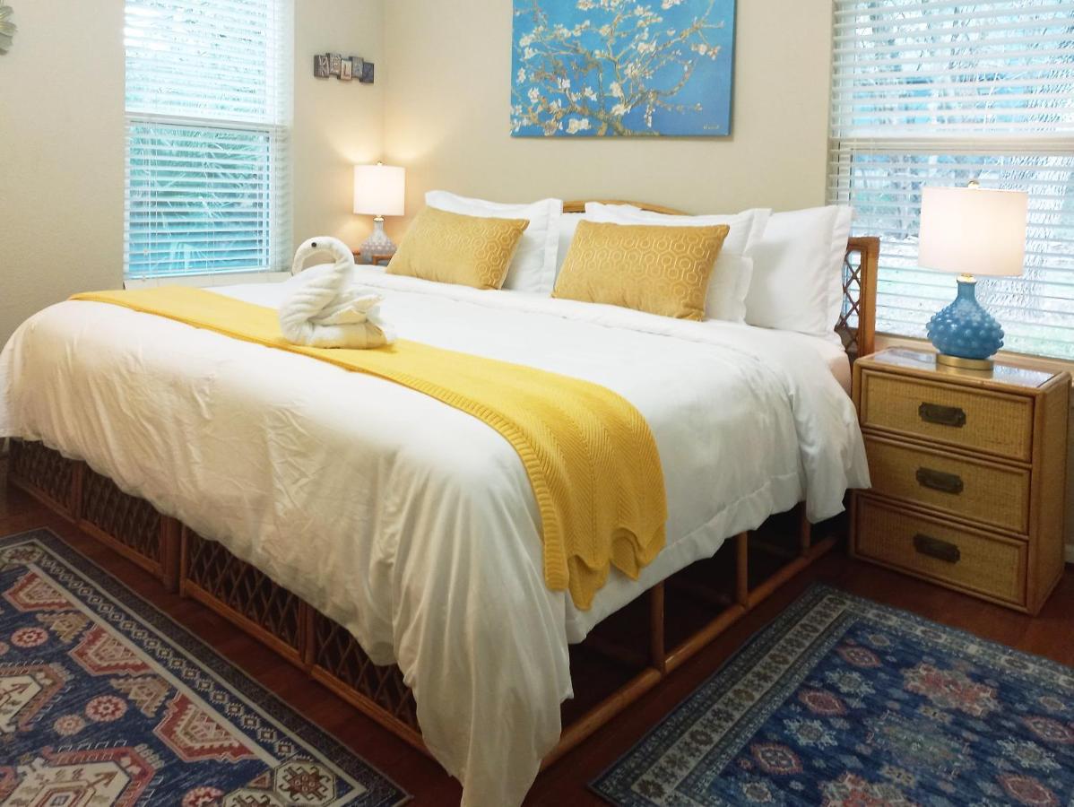 圣马科斯King Bed In Relaxing Oasis, With Free Snack/Wi-Fi/Parking公寓 外观 照片